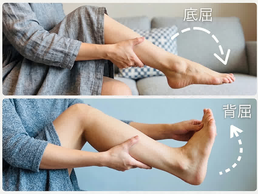  足首のパタパタ運動（足関節底背屈）の写真