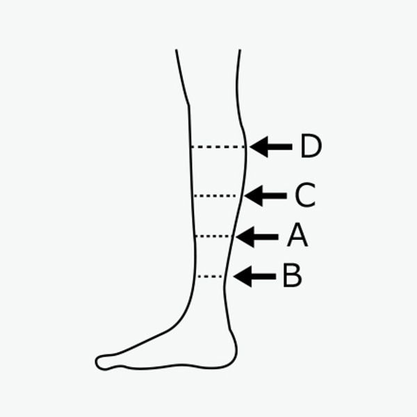 サイズ測定部位